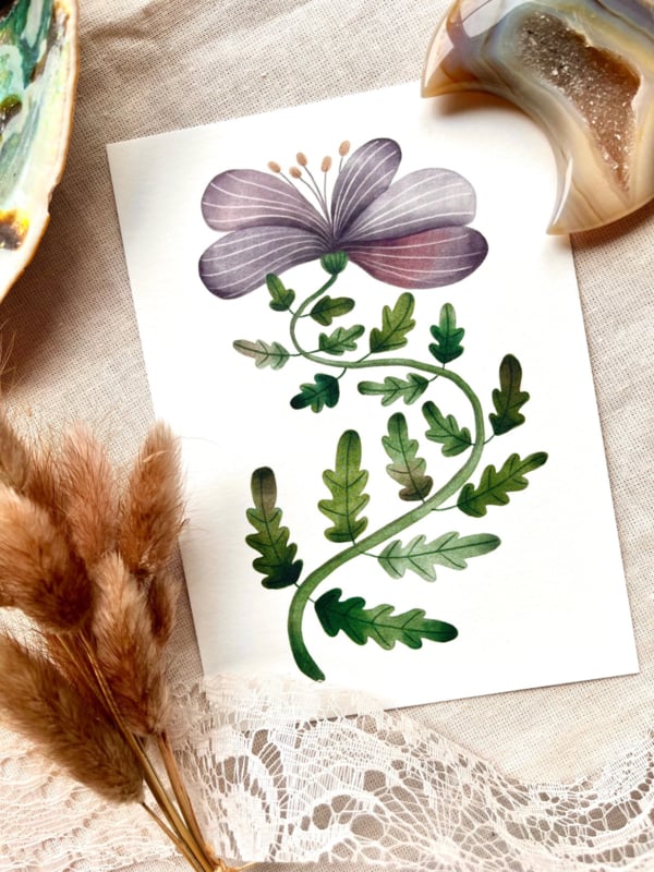Ansichtkaart - Purple flower