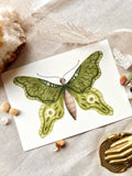 Ansichtkaart - Green butterfly