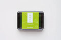 Ink pad Shachihata Iromoyo - Moegi Iro - Yellow green