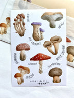 Sticker sheet - Mushrooms