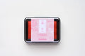 Ink pad Shachihata Iromoyo - Toki Iro - Pale Pink