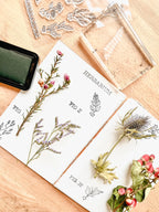 Clear stamps - Herbarium