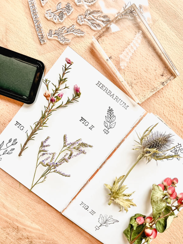 Clear stamps - Herbarium
