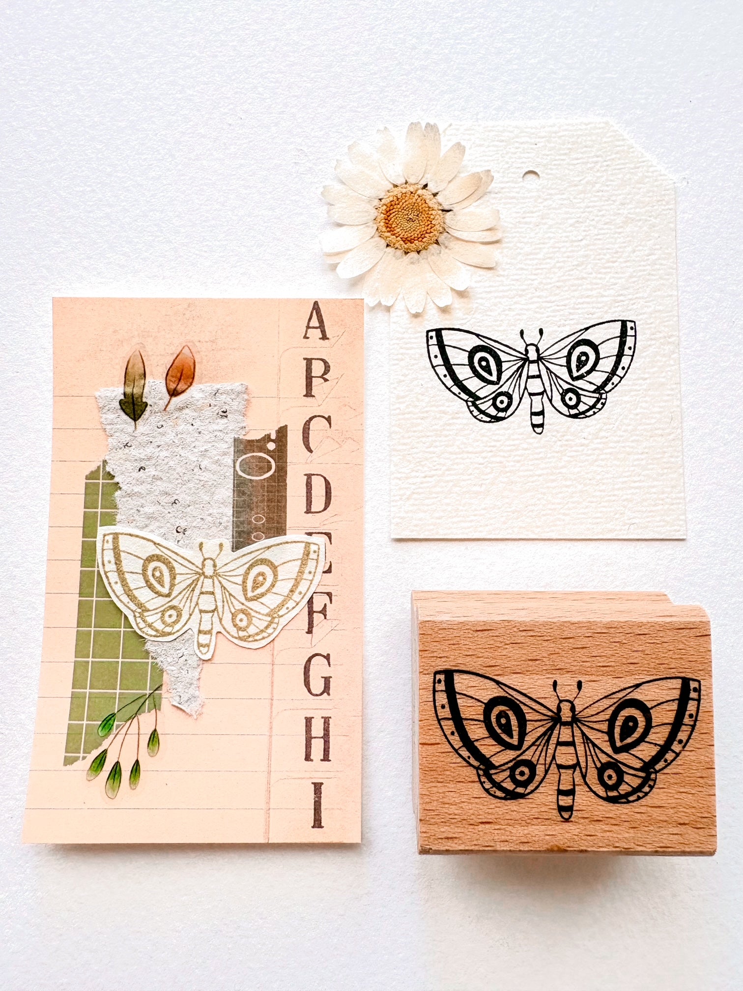Stamp - Moth