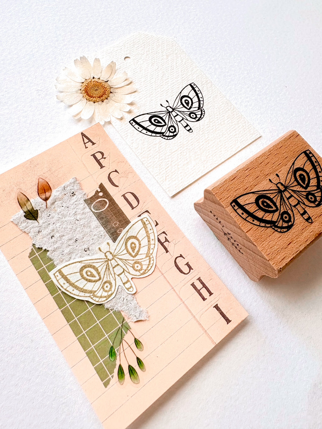 Stamp - Moth