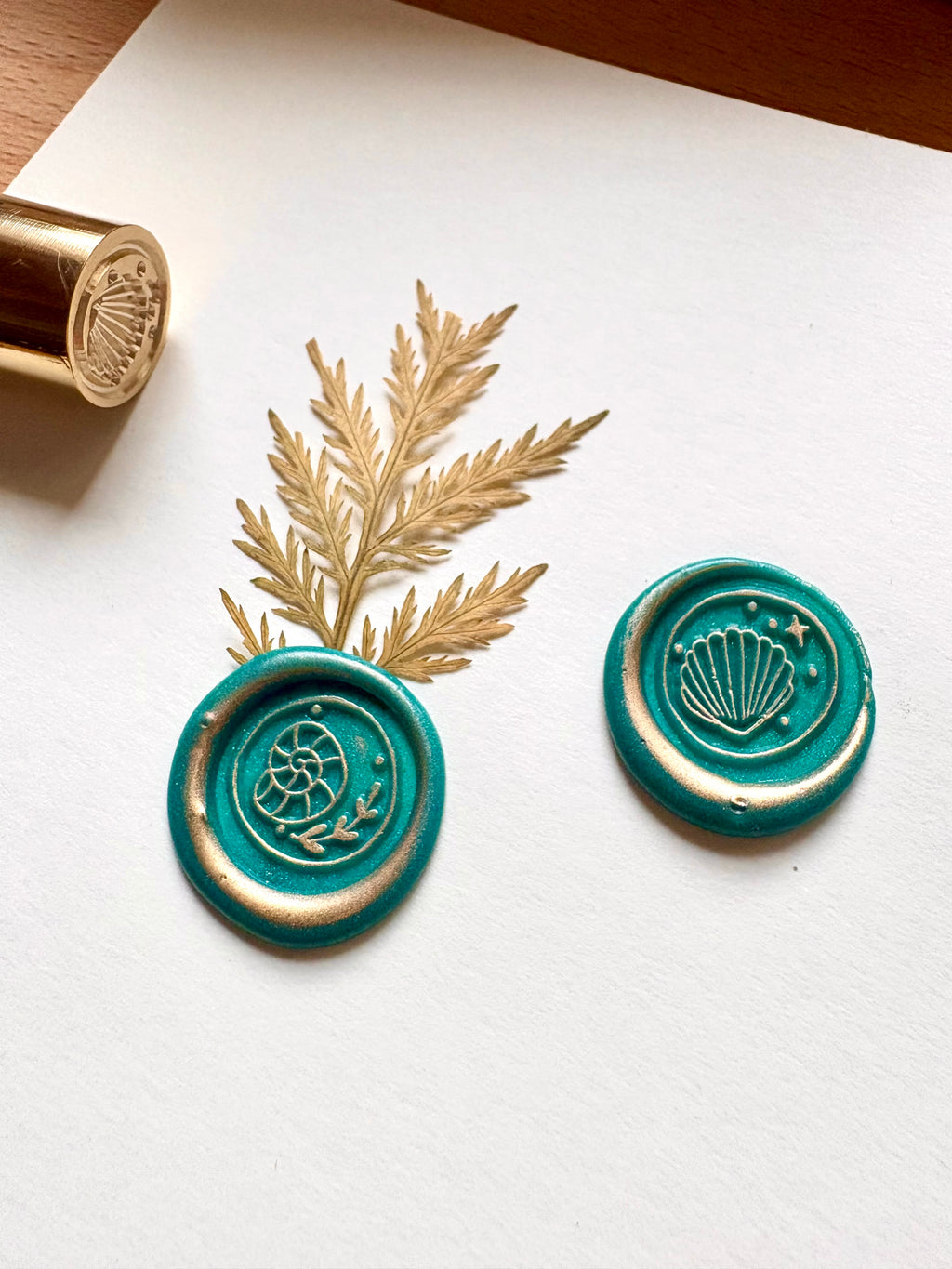 Wax seal stamp - 2 sides - Sea shells