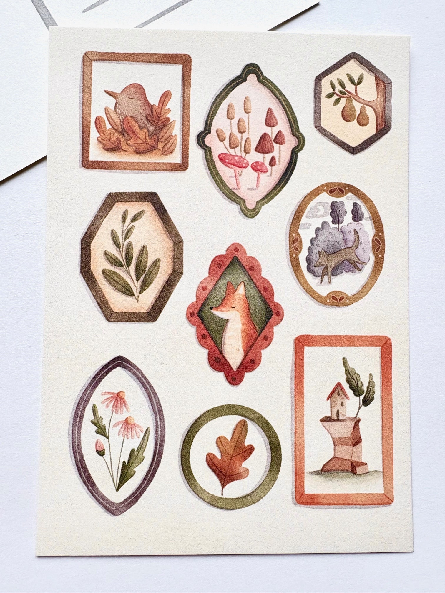 Ansichtkaart - Frames