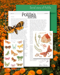 Mail club - Polilla's journal - brief 4 (augustus)