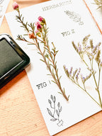 Clear stamps - Herbarium