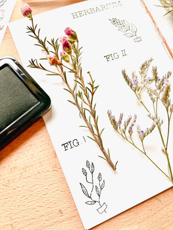 Clear stamps - Herbarium