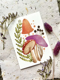 Ansichtkaart - Mushrooms
