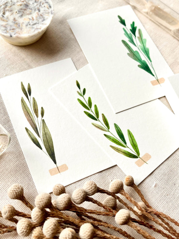 Notitiekaartjes- Herbarium